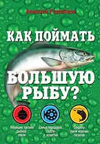 Как поймать большую рыбу?