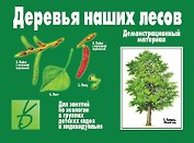 Деревья наших лесов. Демонстрационный материал для занятий по экологии в группах детских садов и индивидуально