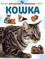 Кошка / (мягк) (Домашние любимцы). Рейнер М. (Аст-Пресс)