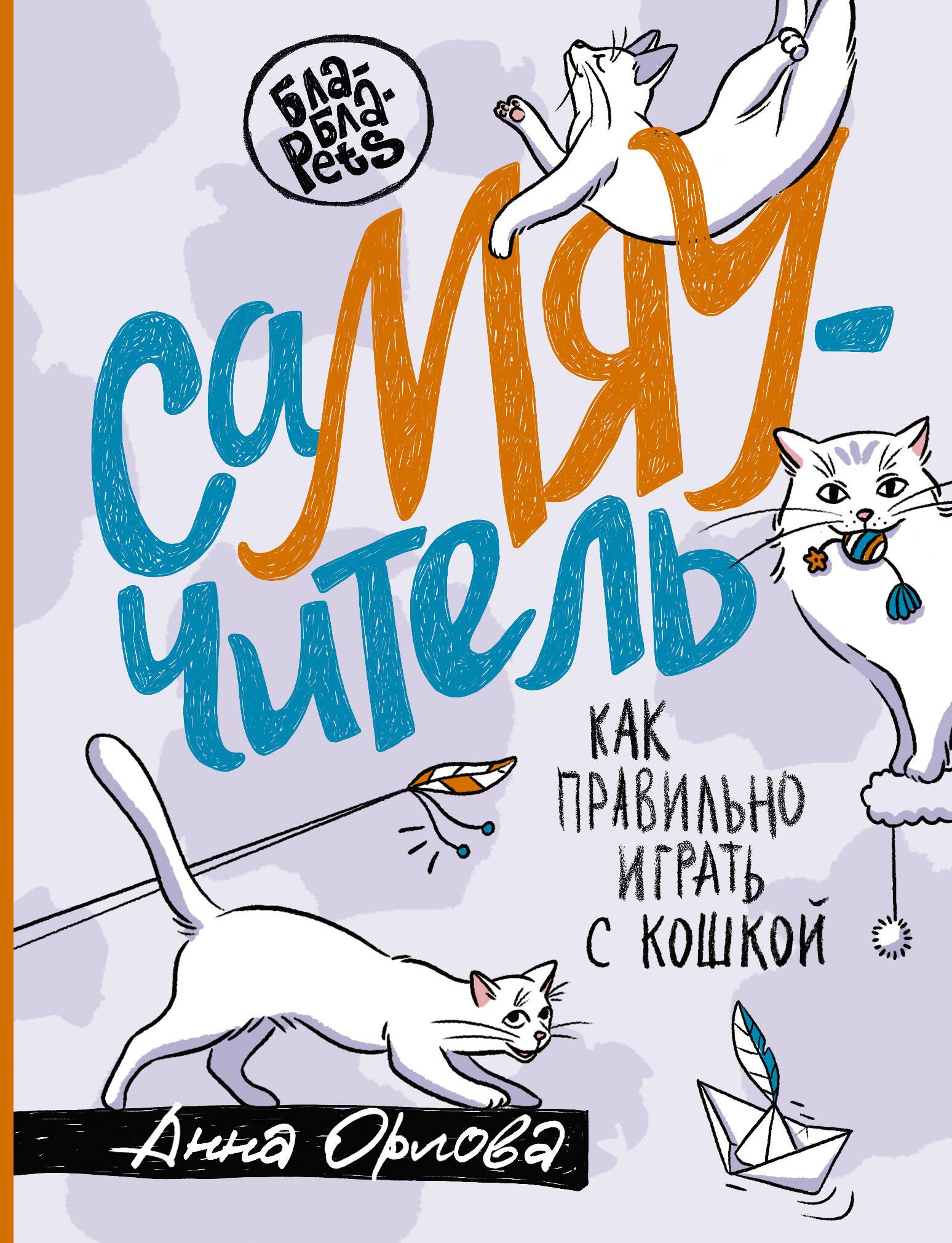 

СаМЯУчитель. Как правильно играть с кошкой