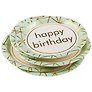 Набор бумажных тарелок Happy birthday на мятном фоне (22 см) (6 шт) (12-01582-E3)