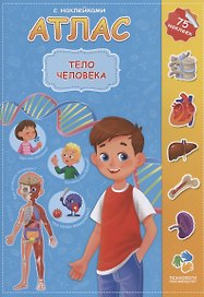 Тело человека. 75 наклеек