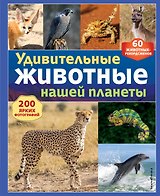 Удивительные животные нашей планеты