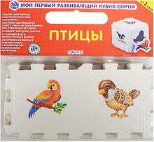 Кубик «Птицы», Робинс