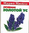 Золотой ус