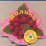 Малина (Садовая аптека на магните) (картон) (Урал ЛТД)