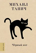 Чёрный кот