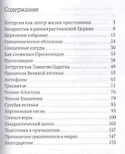 Божественная литургия. Объяснение смысла, значения, содержания - 1