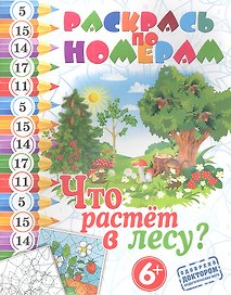 Что растет лесу?