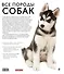 Все породы собак - 1
