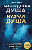 Заблудшая душа - мудрая душа. Как испытания прошлых жизней формируют наше будущее - 0
