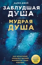 Заблудшая душа - мудрая душа. Как испытания прошлых жизней формируют наше будущее