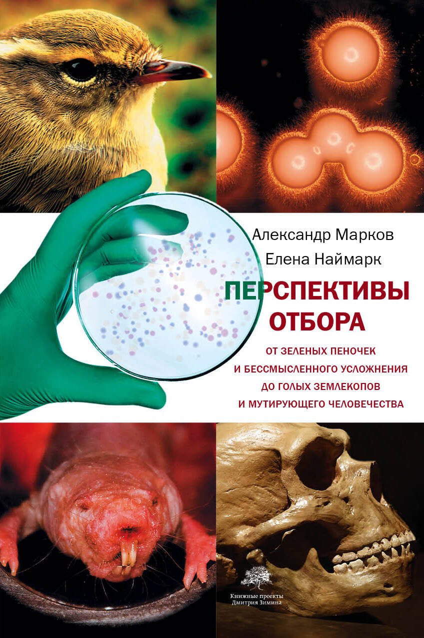 Общая биология  Буквоед Перспективы отбора