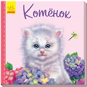 Котенок