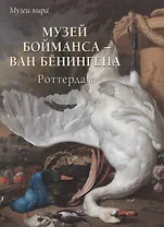 Музей Бойманса – ван Бёнингена. Роттердам