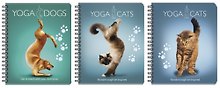 Тетрадь общая «Yoga Animals», 48 листов в клетку, А5, в ассортименте - Yoga Dogs