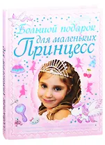 Большой подарок для маленьких принцесс: Учимся хорошим манерам. Постигаем азы красоты. Творим своими руками. Готовим быстро и вкусно. Наводим порядок. Следим за здоровьем