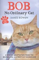 Bob: No Ordinary Cat