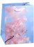 Пакет А5 23*18*10 "Spring blossom" жен., бум.мат.ламинат  - 1
