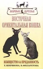 Восточная ориентальная кошка. Изящество и преданность