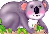 Яркие картинки. Коала-соня
