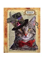 Дневник шк. "КОТ В ШЛЯПЕ" интегр.обл., конгрев, выб.УФ-лак, универс.шпаргалка, Феникс