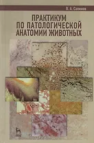 Практикум по патологической анатомии животных. Учебное пособие 2-е изд. перераб. и доп.