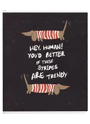 Тетрадь в клетку Be Smart, "Hey human. Таксы", 48 листов