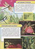 Насекомые, рыбы и рептилии Европы - 2