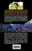 Тайна голландских изразцов - 1