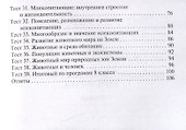 Биология. 8 класс. Контрольно-измерительные материалы - 2