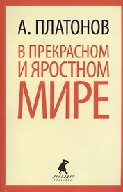 В прекрасном и яростном мире: рассказы
