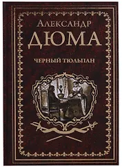 Черный тюльпан Жорж (СобрСочДюма) Дюма