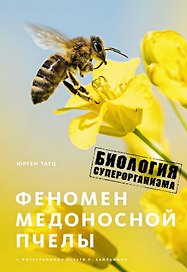 Феномен медоносной пчелы. Биология суперорганизма