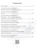 Человек и мир. 2 класс. Тематические самостоятельные работы - 1