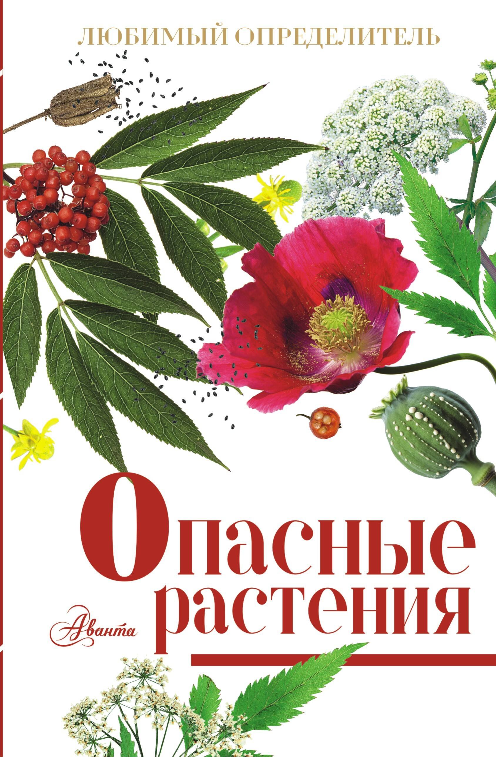 

Опасные растения