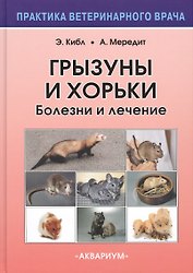 Грызуны и хорьки. Болезни и лечение