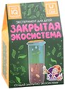 Эксперимент для детей "Закрытая Экосистема"