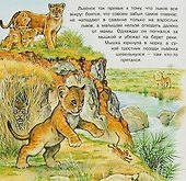 Приключения львёнка - 1