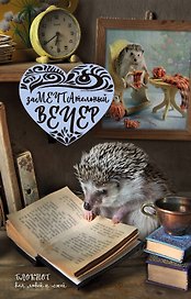 Блокнот «Замечтательный вечер», Эксмо