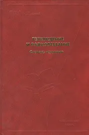 Телевидение и радиовещание Словарь терминов. Хлнбородов В. (Юрайт)