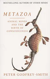 Metazoa