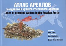 Атлас ареалов гнездящихся куликов Российской Арктики. Атлас-монография