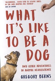 What It's Like to Be a Dog