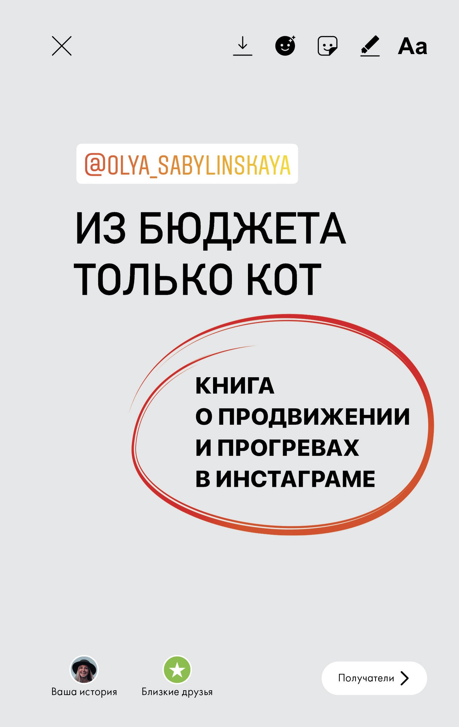 

Из бюджета только кот. Книга о продвижении и прогревах в инстаграме