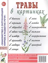 Травы в картинках. Наглядное пособие для логопедов, педагогов, воспитателей и родителей