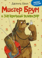 Мистер Брум и загадочный телевизор : сказка