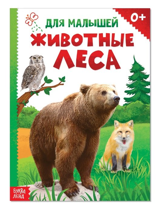 

Животные леса для малышей