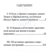 Живое слово мудрости духовной. Выписки из дневников - 1