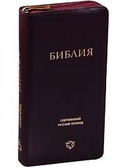 Библия (рус. перев.) (047YZTI) (2 изд.) (борд./кор.) (кожа) (гибк. Перепл.) (зол. Срез с индекс.) (м